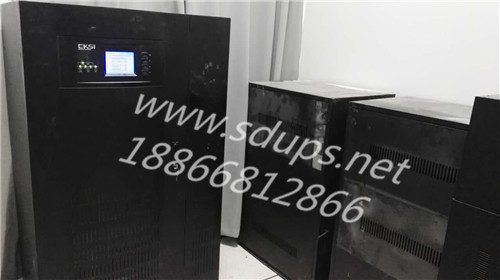 金龙报网站